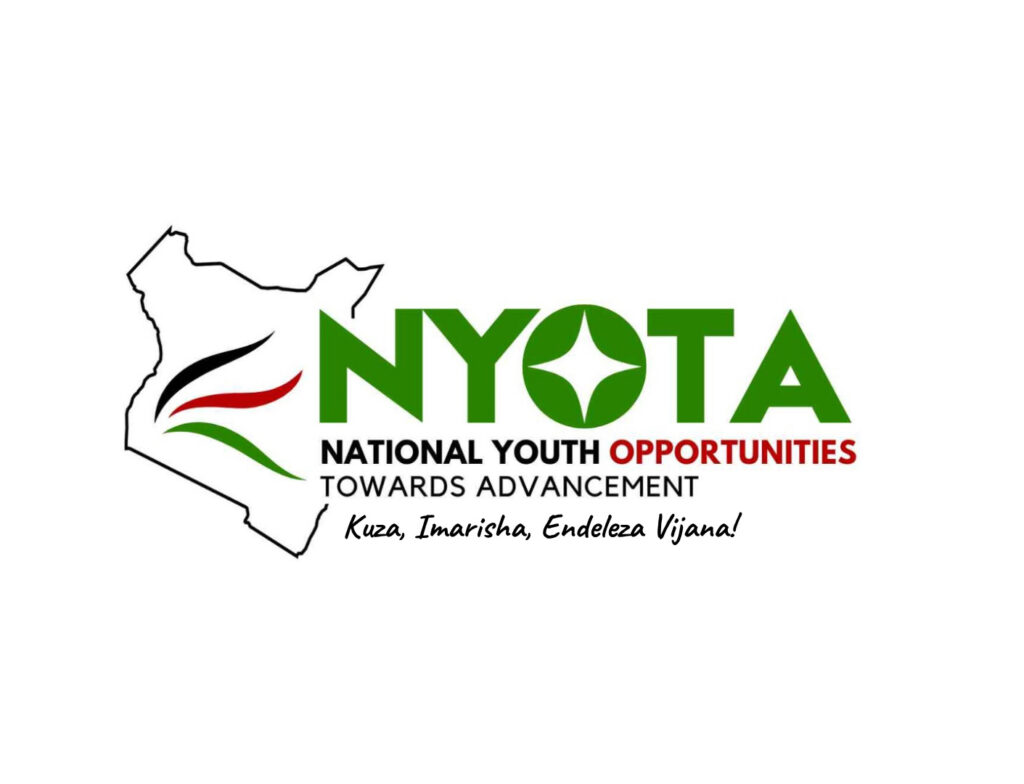 Govt Announces Date NYOTA Beneficiaries Will Receive Ksh22,000 Grant, Begins this January