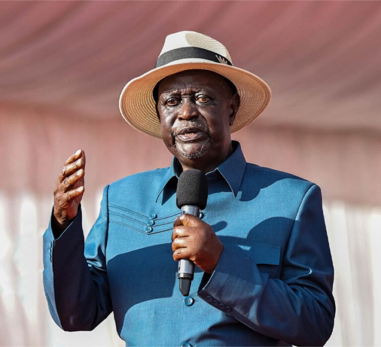 Multimillion Businesses Associated With ODM Leader Oburu Odinga