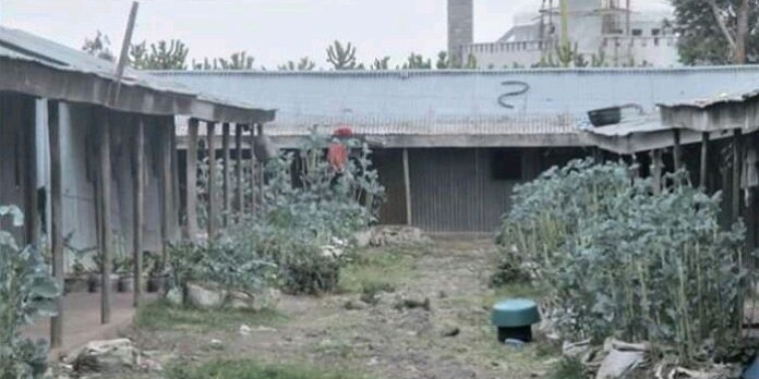 Inside Kwa Uhuru: Kenyatta Family Estate Where Rent Is Just Sh 2,000 a Month