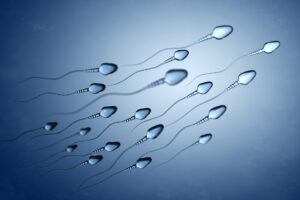 Frequent Ejaculation May Improve Sperm Quality, New Study Reveals