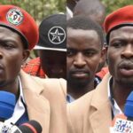 Gaucho Education Background: Schools Attended and Academic Journey