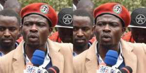 Gaucho Education Background: Schools Attended and Academic Journey