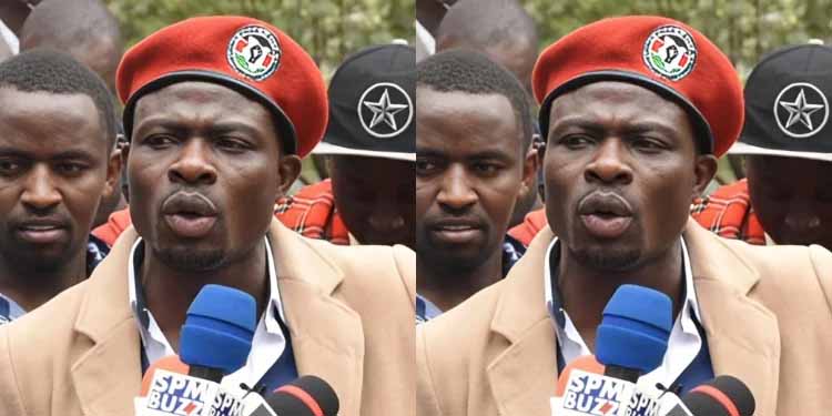 Gaucho Education Background: Schools Attended and Academic Journey