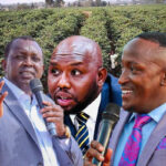 Murkomen, Sudi and Kururia named in Sh20bn Runda land grab