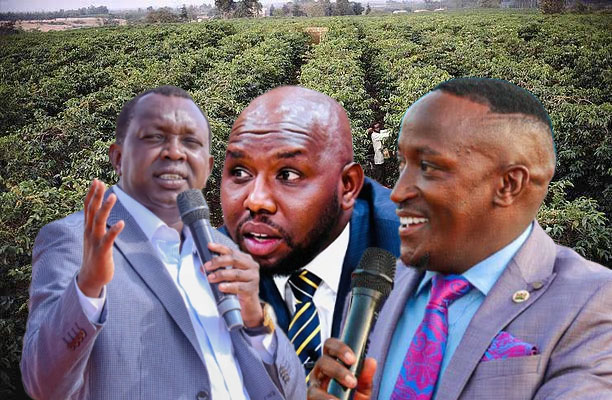 Murkomen, Sudi and Kururia named in Sh20bn Runda land grab