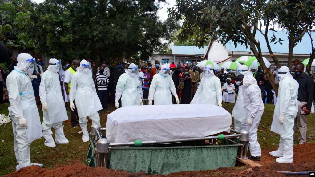 Kenya Issues Health Warning After Deadly Hantavirus Outbreak Confirmed by WHO