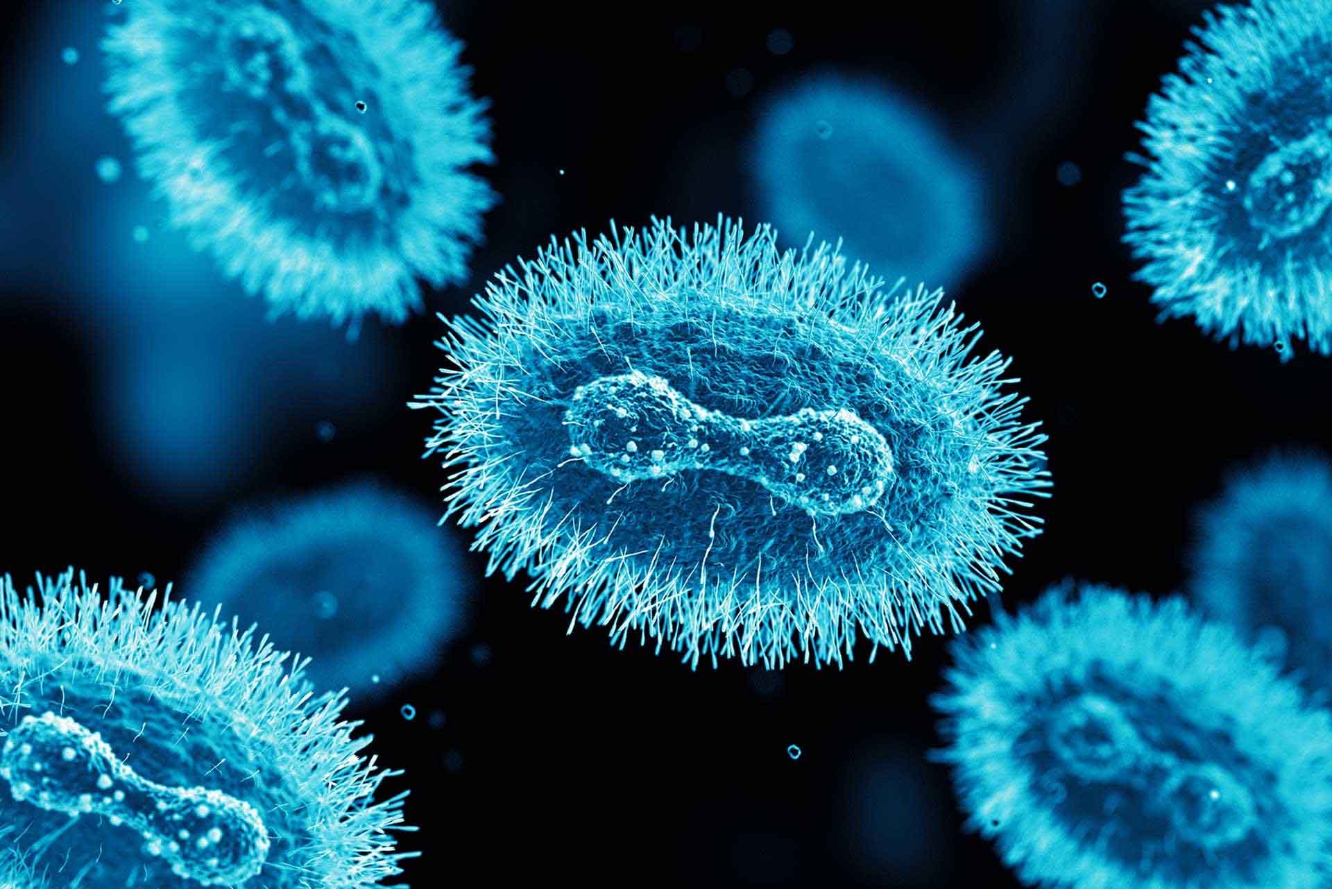 Embu County on High Alert Following Confirmation of Mpox Virus Embu County on High Alert Following Confirmation of Mpox Virus