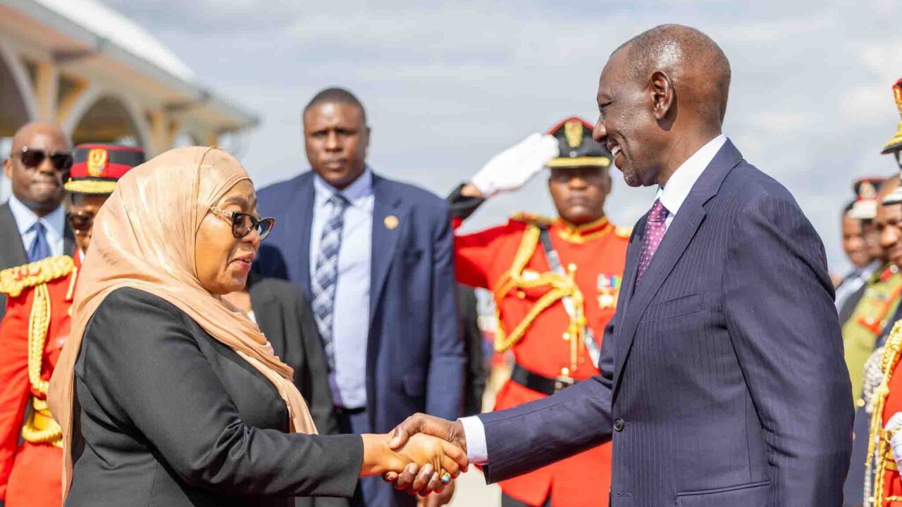 Tanzanian MPs Praise Ruto, Pray for His Re-election After Parliament Address