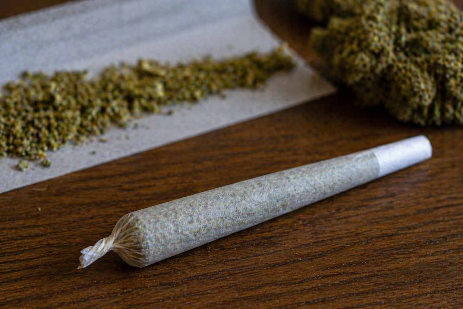 Bhang Use in Kenya Rises by 90% in Four Years, Nearly One Million Kenyans Now Using Cannabis Bhang Use in Kenya Rises by 90% in Four Years, Nearly One Million Kenyans Now Using Cannabis
