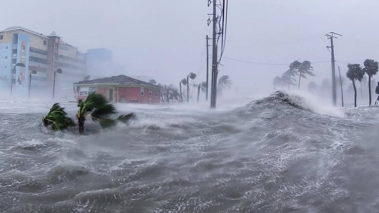 Strong El Niño Expected as WMO Predicts Hotter Weather Worldwide Strong El Niño Expected as WMO Predicts Hotter Weather Worldwide