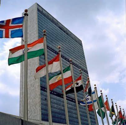 The UN has advertised 36 job vacancies in Nairobi for professionals, consultants and interns The UN has advertised 36 job vacancies in Nairobi for professionals, consultants and interns
