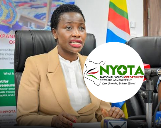 How to Select an NYOTA On-the-Job Experience (OJE) Skill via USSD How to Select an NYOTA On-the-Job Experience (OJE) Skill via USSD